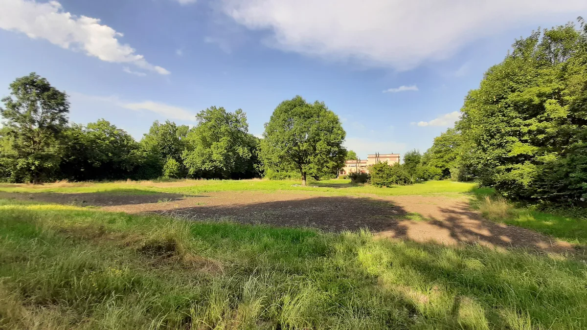 Blick auf eine naturnahe Wiese mit Bäumen und Gebäuden im Hintergrund.